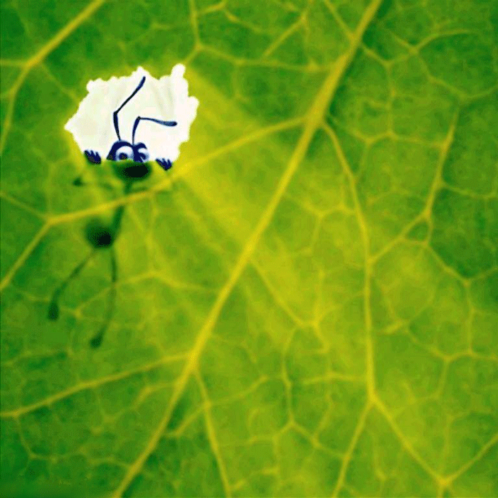 Ein allgemeines Bild